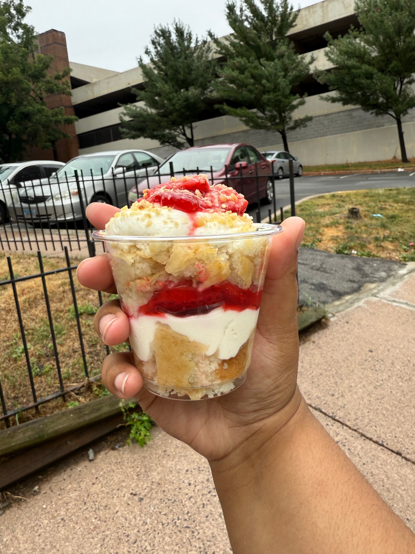 Sugar Cups