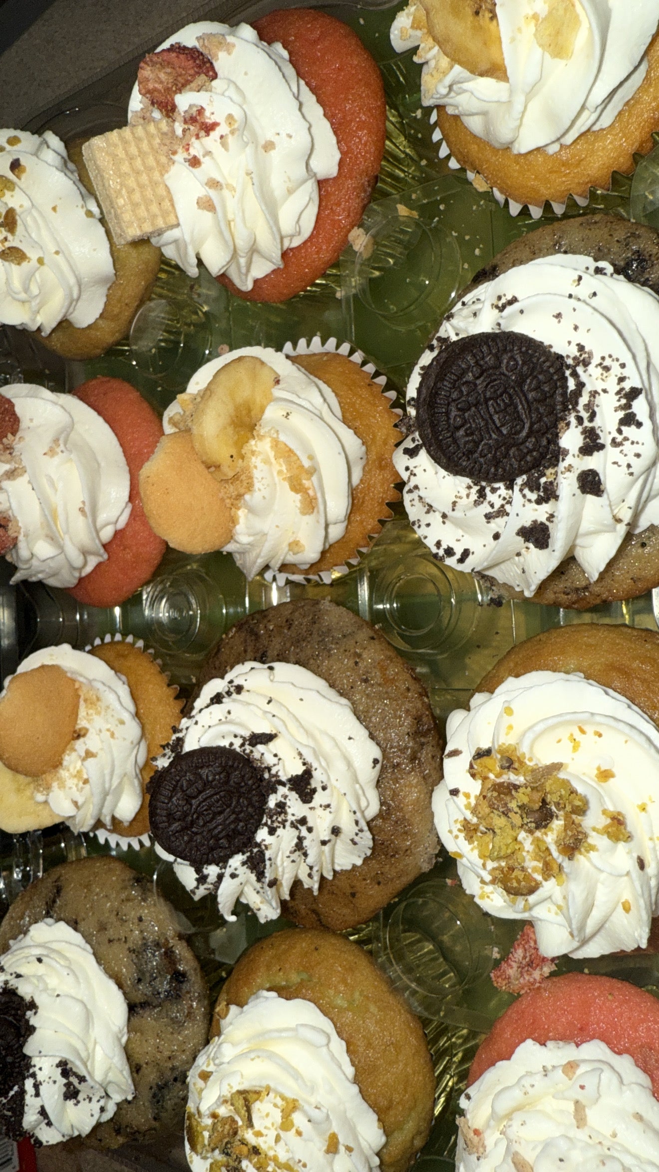 Individual Cupcake
