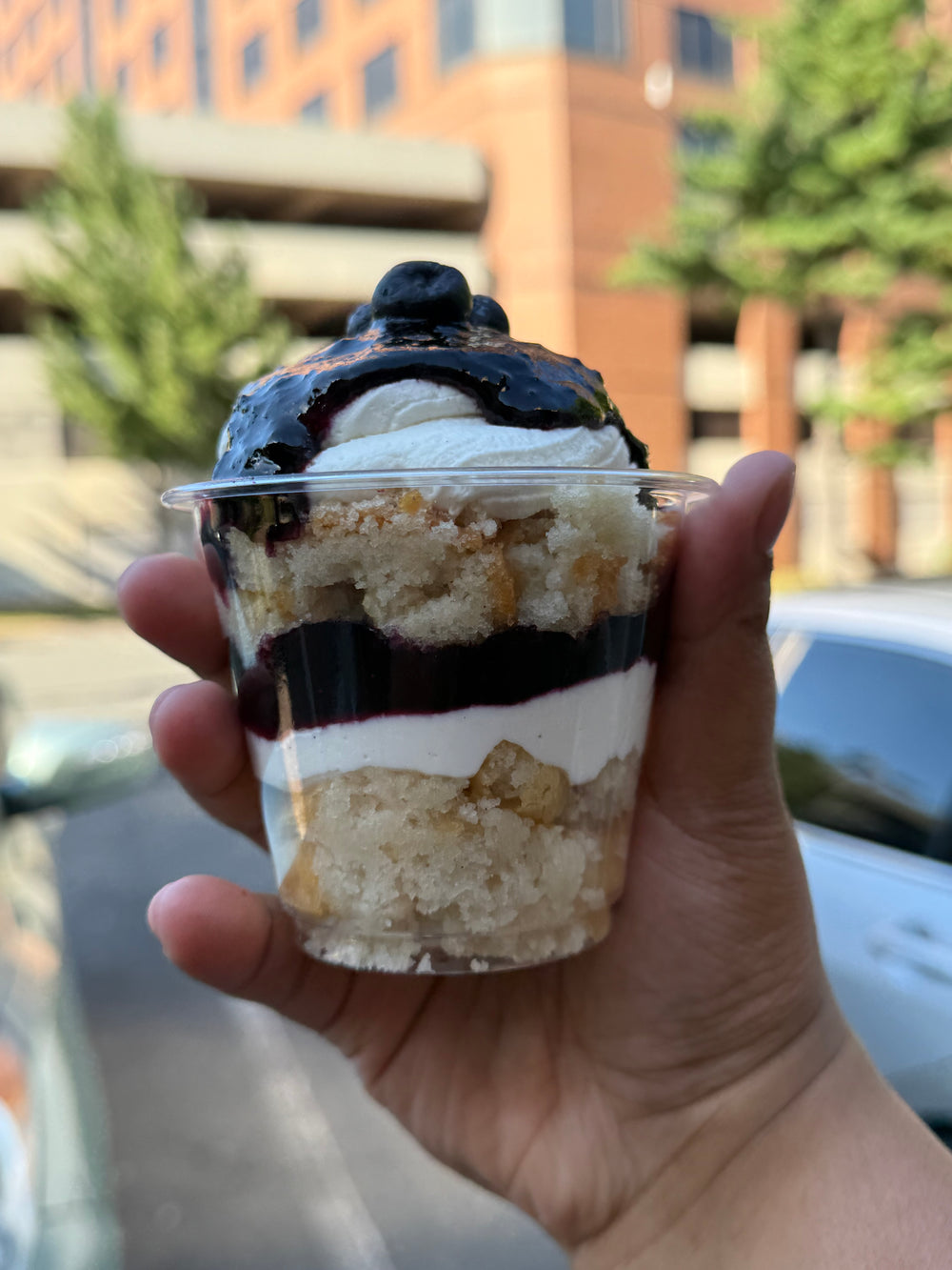 Sugar Cups
